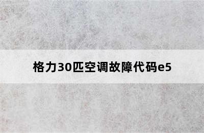 格力30匹空调故障代码e5