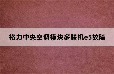 格力中央空调模块多联机e5故障