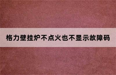 格力壁挂炉不点火也不显示故障码