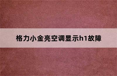 格力小金亮空调显示h1故障