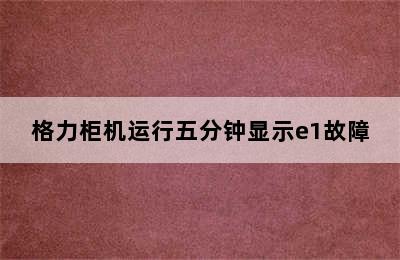 格力柜机运行五分钟显示e1故障