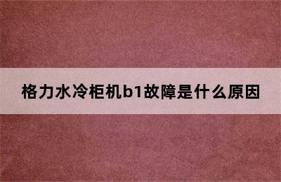 格力水冷柜机b1故障是什么原因