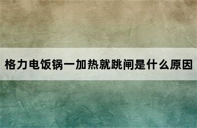 格力电饭锅一加热就跳闸是什么原因