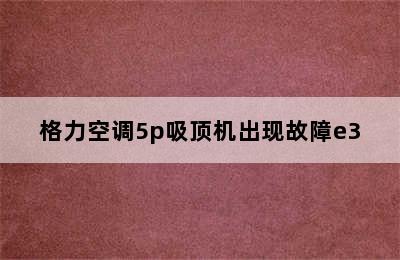 格力空调5p吸顶机出现故障e3