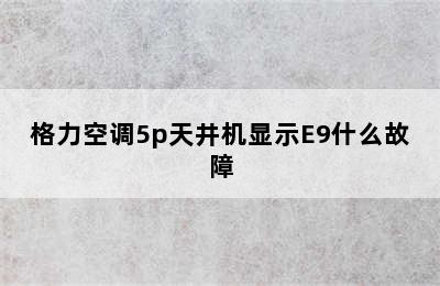 格力空调5p天井机显示E9什么故障