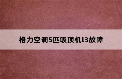 格力空调5匹吸顶机l3故障