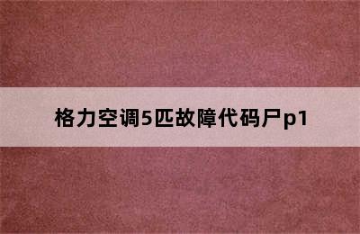 格力空调5匹故障代码尸p1