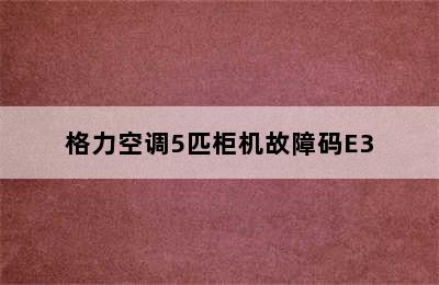 格力空调5匹柜机故障码E3