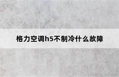 格力空调h5不制冷什么故障