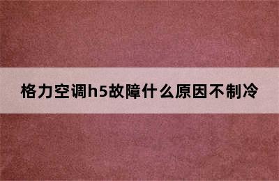 格力空调h5故障什么原因不制冷