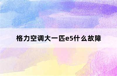 格力空调大一匹e5什么故障