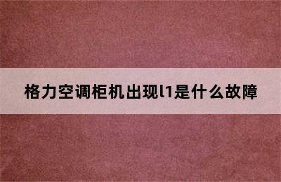 格力空调柜机出现l1是什么故障