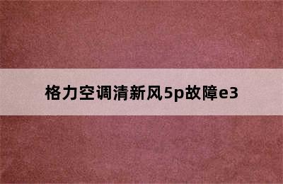 格力空调清新风5p故障e3