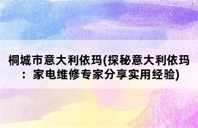 桐城市意大利依玛(探秘意大利依玛：家电维修专家分享实用经验)