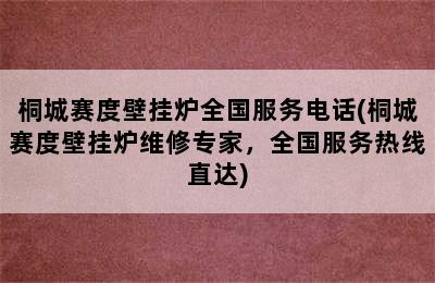 桐城赛度壁挂炉全国服务电话(桐城赛度壁挂炉维修专家，全国服务热线直达)