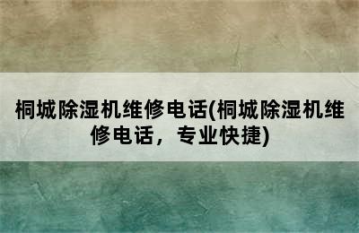 桐城除湿机维修电话(桐城除湿机维修电话，专业快捷)