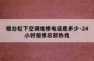 桓台松下空调维修电话是多少-24小时报修总部热线