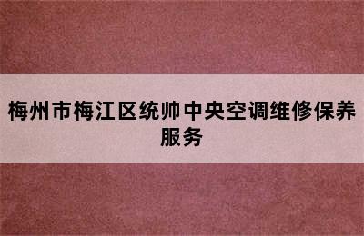 梅州市梅江区统帅中央空调维修保养服务