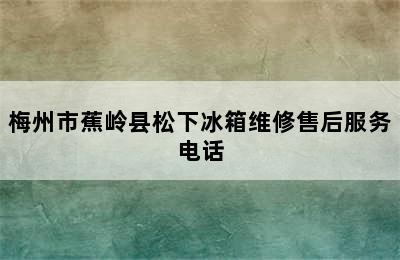 梅州市蕉岭县松下冰箱维修售后服务电话