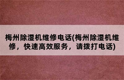 梅州除湿机维修电话(梅州除湿机维修，快速高效服务，请拨打电话)