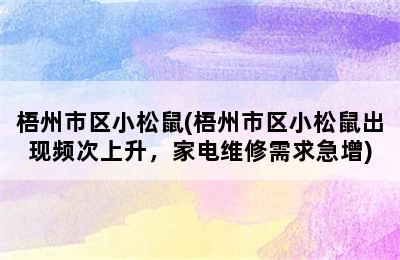 梧州市区小松鼠(梧州市区小松鼠出现频次上升，家电维修需求急增)