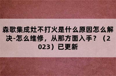 森歌集成灶不打火是什么原因怎么解决-怎么维修，从那方面入手？（2023）已更新