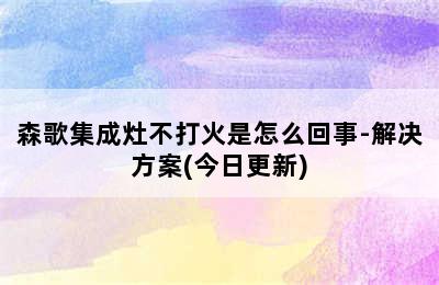 森歌集成灶不打火是怎么回事-解决方案(今日更新)