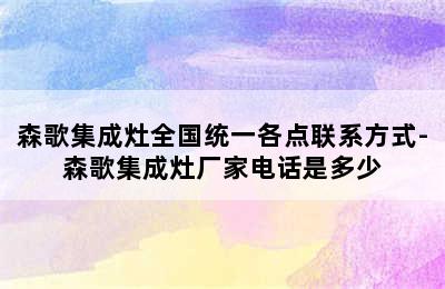 森歌集成灶全国统一各点联系方式-森歌集成灶厂家电话是多少