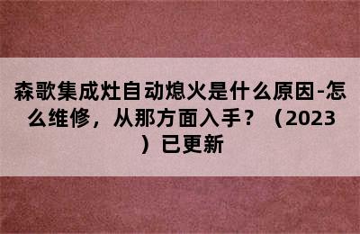 森歌集成灶自动熄火是什么原因-怎么维修，从那方面入手？（2023）已更新