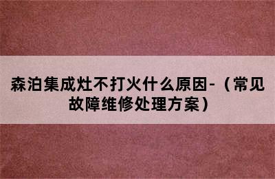 森泊集成灶不打火什么原因-（常见故障维修处理方案）