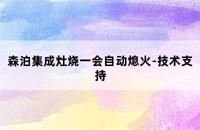 森泊集成灶烧一会自动熄火-技术支持