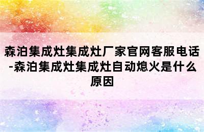 森泊集成灶集成灶厂家官网客服电话-森泊集成灶集成灶自动熄火是什么原因