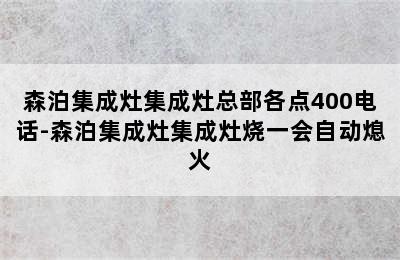 森泊集成灶集成灶总部各点400电话-森泊集成灶集成灶烧一会自动熄火