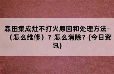 森田集成灶不打火原因和处理方法-（怎么维修）？怎么消除？(今日资讯)