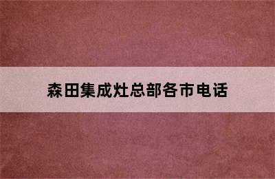 森田集成灶总部各市电话