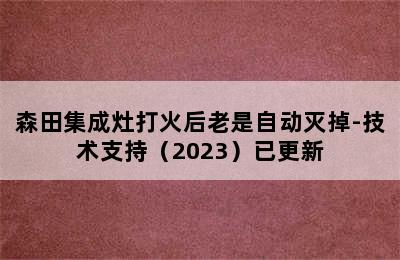 森田集成灶打火后老是自动灭掉-技术支持（2023）已更新