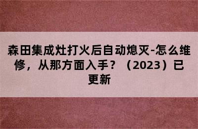 森田集成灶打火后自动熄灭-怎么维修，从那方面入手？（2023）已更新