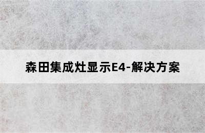 森田集成灶显示E4-解决方案