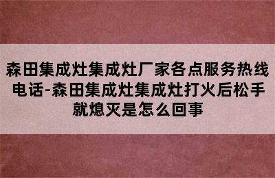 森田集成灶集成灶厂家各点服务热线电话-森田集成灶集成灶打火后松手就熄灭是怎么回事