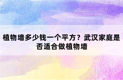 植物墙多少钱一个平方？武汉家庭是否适合做植物墙