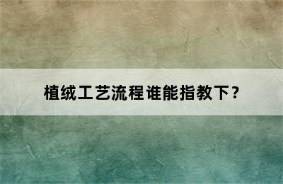 植绒工艺流程谁能指教下？