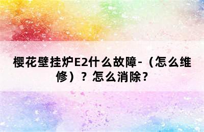 樱花壁挂炉E2什么故障-（怎么维修）？怎么消除？