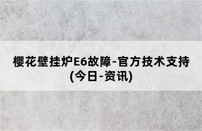 樱花壁挂炉E6故障-官方技术支持(今日-资讯)