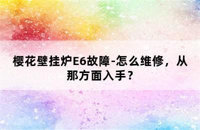 樱花壁挂炉E6故障-怎么维修，从那方面入手？