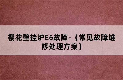 樱花壁挂炉E6故障-（常见故障维修处理方案）