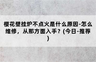 樱花壁挂炉不点火是什么原因-怎么维修，从那方面入手？(今日-推荐)