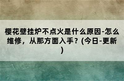 樱花壁挂炉不点火是什么原因-怎么维修，从那方面入手？(今日-更新)