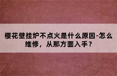 樱花壁挂炉不点火是什么原因-怎么维修，从那方面入手？