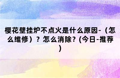 樱花壁挂炉不点火是什么原因-（怎么维修）？怎么消除？(今日-推荐)