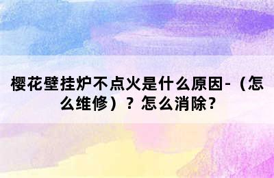 樱花壁挂炉不点火是什么原因-（怎么维修）？怎么消除？